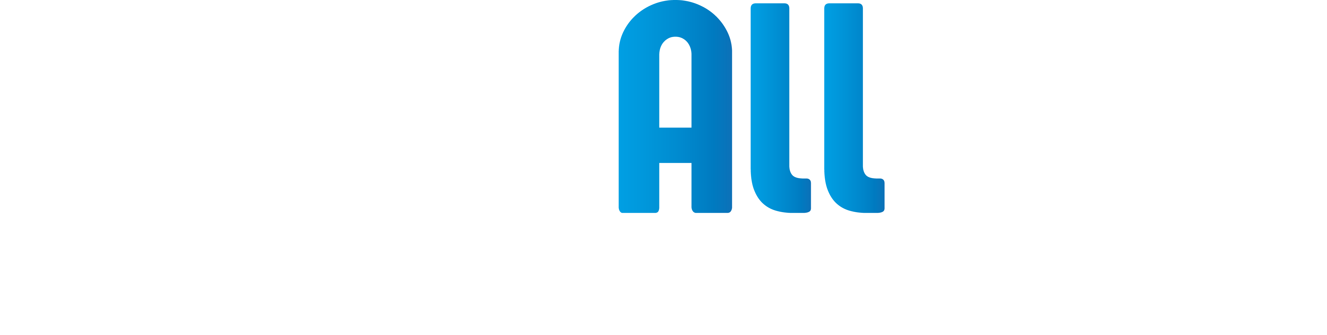 CoreAllDev - Integral Solutions